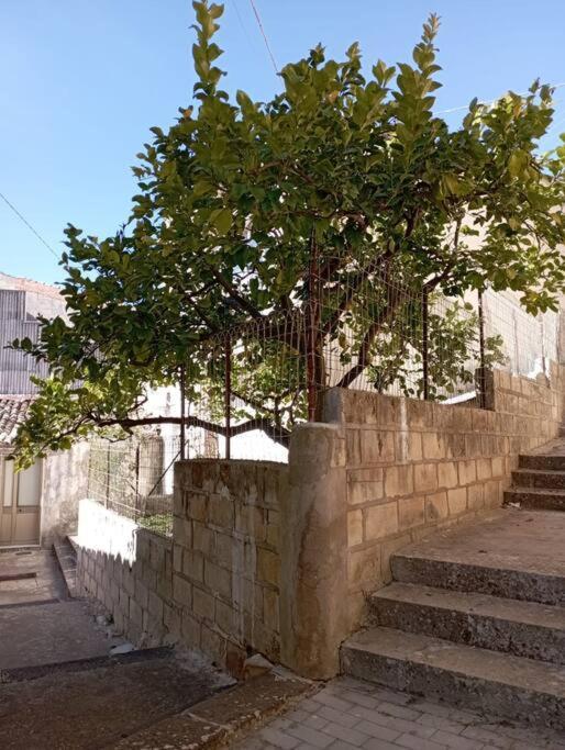 Lumia_guest House In San Paolo Appartamento